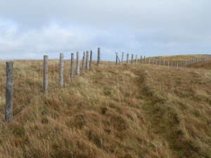 DSCN0457