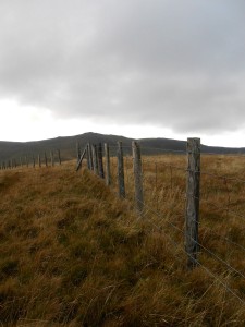 DSCN0485