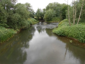 DSCN0364a